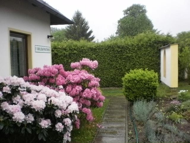 Ferienwohnung Privat Buk 100 Jindřichův Hradec Exterior foto